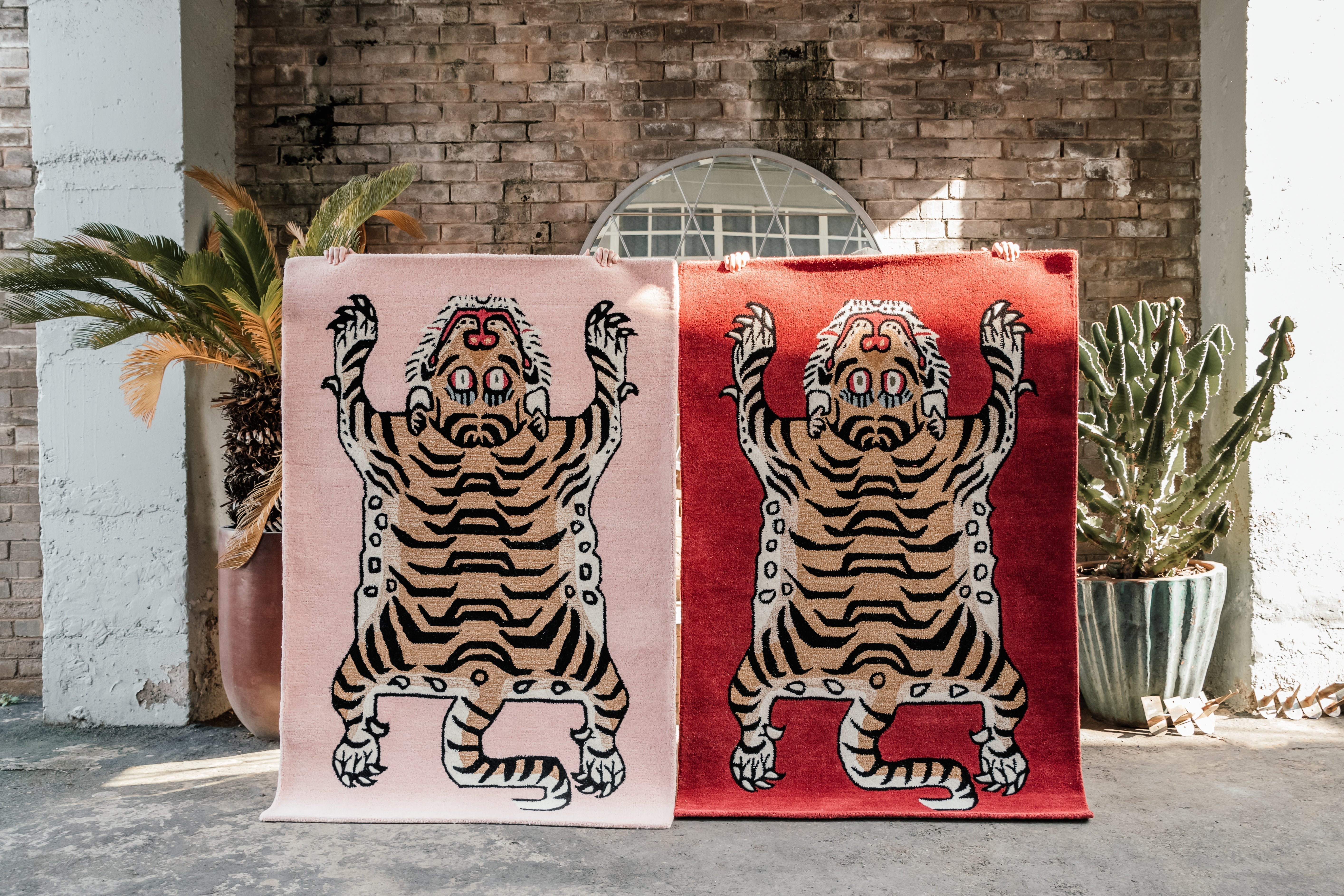 two tibetan tiger rugs being held upright, maroon tibetan tiger and blush pink tibetan rugs rugs in south africa